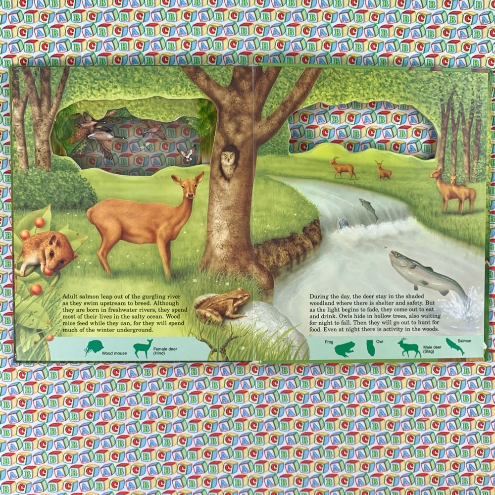 Animal Information Interactive Learning Book Set. - Picture 10 of 16